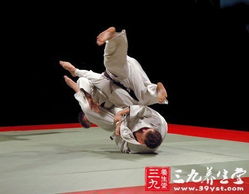 武術之魂 探源傳統武術的極致追求