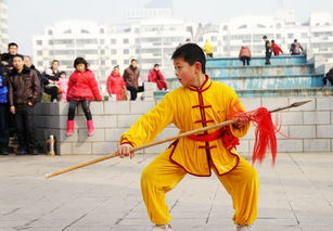 少年武術(shù) 鑄中華魂魄，塑時(shí)代脊梁