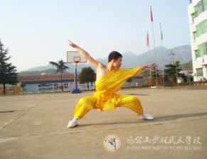 武術拍照姿勢指南 經典而不凡之姿